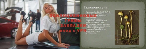 мет Щигры