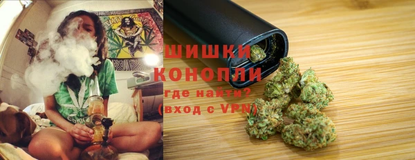 мет Щигры